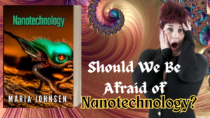 Should We be Afraid of Nanotech